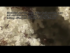 Natural Fire Ant Insecticide Household Powder 1% Hydramethylnon