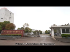 Introdução da empresa de tecnologia biológica de Wuhan Unioasis
