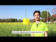 Agropecuária Bio Insecticida repolho lagarta diamante larvas de boca traseira pesticida biológico