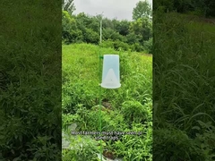 Trapaça de pragas Trapaça de insetos Beterraba de exército Verme no milho repolho Verme brócolis Trapaça