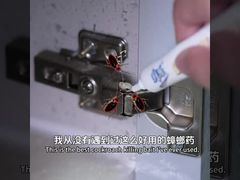 Inseticida Biológico para Adultos, Baratas, Larvas e Ovos, Gel Isca para Eliminação de Baratas