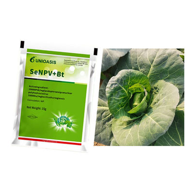 Environmentally friendly pesticides for crops control Plutella Xylostella Spodoptera Frugiperda 