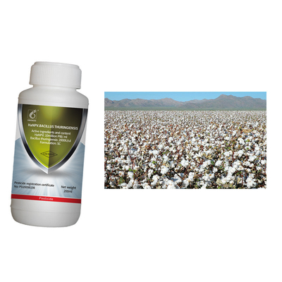 Chili Cotton Pest Killing Organic Pesticide Cotton Bollworm Biological Safe HaNPV 