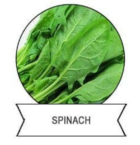 Good Effect Insecticide SeNPV Bt Pests Killing Plutella Xylostella Crop Insecticide