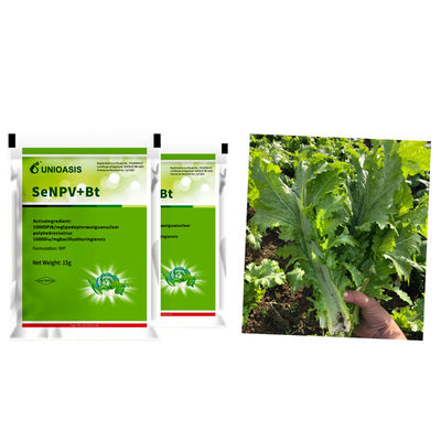 Active Ingredient Pest Virus And Bt Corn Kill Beet Armyworm Eggs Beet Armyworm