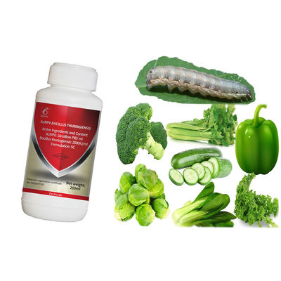 Effective Maize Crop Pesticide with 2 Years Shelf Life Natural Organic and Compatible with Other Pesticides