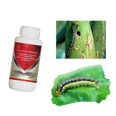 Effective Maize Crop Pesticide with 2 Years Shelf Life Natural Organic and Compatible with Other Pesticides
