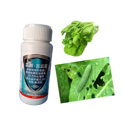 Ecological Organic Vegetable Insecticides Rapae Granulosis Virus PrGV Kill Asparagus Broccoli Pests