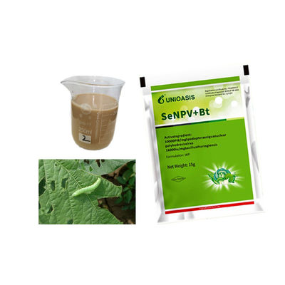 Professional Cabbage Cauliflower Pesticide SeNPV to Kill Vegetable Beet Armyworm Cost-effective
