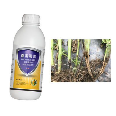 Rice Blast Disease Control Cure Solve Agent 6% Kasugamycin Strong Permeability