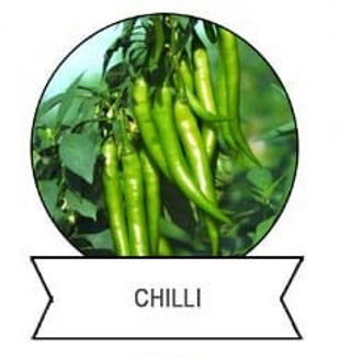 Ecological Biological Pesticide PrGV Bt Vegetable Brocolli Farming Organic Certification 