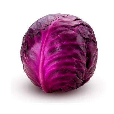 Safe agriculture organic pesticide for lettuce Indonesia farm AcNPV Environmentally Friendly 